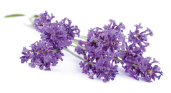 product image.